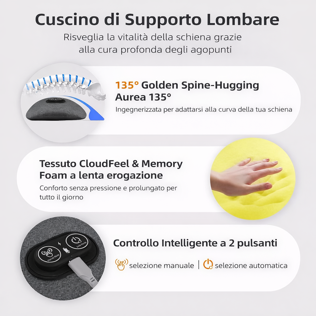 LumbaCare Pro 3-in-1
